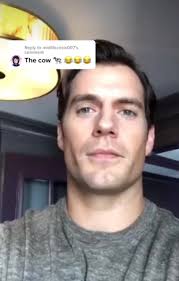 American Akita Named Cal, Not C.O.W.