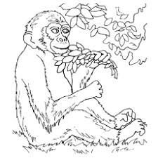 Make a coloring book with baby monkey for one click. Top 25 Free Printable Monkey Coloring Pages For Kids