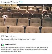 Pin On Funny Tumblr Posts