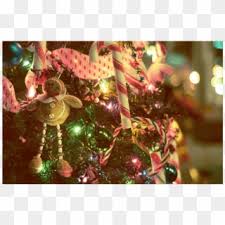 Edible cake decorations dessert decoration cake decorating piping birthday cake decorating sheet cakes decorated sheet cake designs cherry blossom cake sugar sheets pastel cakes. Instagram Png Transparent For Free Download Page 3 Pngfind