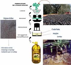 Extraction De L Huile D Olive Et Utilisation Des Sous Produits Download Scientific Diagram