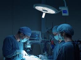 Surgical Light Buying Guide for Veterinary Practices