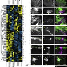 We did not find results for: Jovica Ninkovic S Research Works Ludwig Maximilians University Of Munich Munich Lmu And Other Places