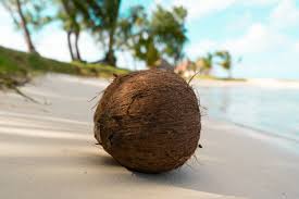 Coconut oil won't work for every hair type. Get To Know Your Hair And How Hair Products Work Get To Know Your Hair Type Health And Colour