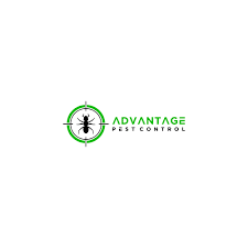 I think we can all agree that it's more cost. Advantage Pest Control Modernise Our Dated Logo Advantage Pest Control We Conduct Termite Inspections And Pest Control Logo Pest Control Safe Pest Control