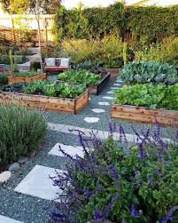 Vegetable Gardening Ideas That Will Create High Yields With Zero Effort Avec Images Design De Jardin Potager Idees De Jardinage Idees Jardin