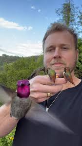 Spencer Pratt Humming Bird