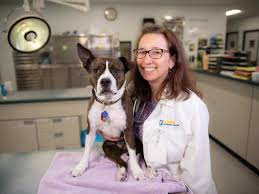 Petco pet stores in davis, ca offer a wide selection of top quality products to meet the needs of a variety of pets. Veterinary Hospital School Of Veterinary Medicine