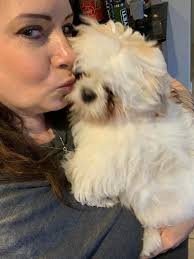 My cute boy, Hashi, 3 month❤️