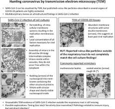 Maybe you would like to learn more about one of these? Hunting Coronavirus By Transmission Electron Microscopy A Guide To Sars Cov 2 Associated Ultrastructural Pathology In Covid 19 Tissues Hopfer 2021 Histopathology Wiley Online Library