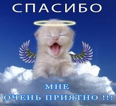 ÐÐ¾ÑÐ¾Ð¶ÐµÐµ Ð¸Ð·Ð¾Ð±ÑÐ°Ð¶ÐµÐ½Ð¸Ðµ