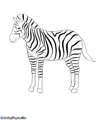 Zebra Coloring Page Zebra Coloring Pages Online Coloring Pages Animal Coloring Pages