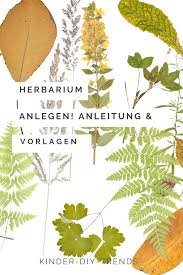 Check spelling or type a new query. Herbarium Deckblatt Artofit