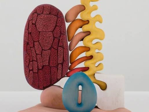 Work by Matthew Ronay
