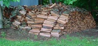 Looking for performances events in richmond? Red Oak Firewood For Sale Usa