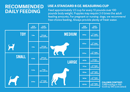 Staffordshire Bull Terrier Dietary Requirements - What To Feed Your Staffy