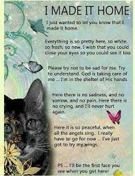 I Made It Home Cat Quotes Pet Sympathy Pet Bereavement