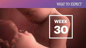 You can also use this tool to determine how many days have passed since your birthday, or measure the amount of time until your baby's due date. 30 Weeks Pregnant What To Expect Your 30th Week Of Pregnancy Youtube