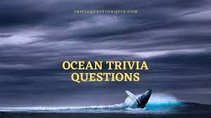The pacific ocean, which is also the world's largest ocean. 200 Ocean Trivia Questions Everyone Asks Trivia Qq