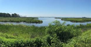 Check spelling or type a new query. Home Friends Of Blackwater Nwr