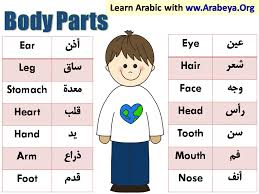 Pin On Arabic Words