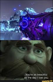 Pin On Funny Destiny Memes