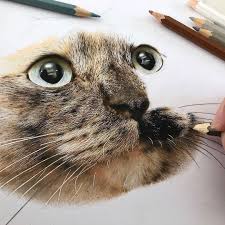 Funny pfp 500 x 500. Feline Faces Get A Close Up In Amazing Hyperrealistic Drawings