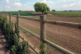 cloture bois pour cheval cloture bois cloture bois chevaux cloture jardin