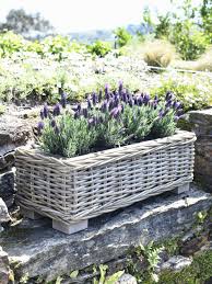 We researched the best planters for all your potting needs. Rattan Planter Trough Large Trough Planters Nordic House