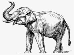 Google has many special features to help you find exactly what youre looking for. Elephants Line Art Download Black And White Circus Animasi Gajah Besar Transparent Png 417x340 Free Download On Nicepng