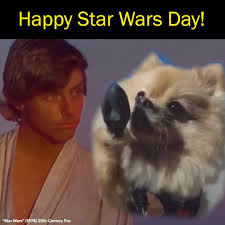 May The Fourth Be With You!