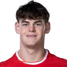 Match Italy 23 v Wales 33