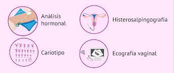 Cuales Son Las Pruebas De Fertilidad En La Mujer Y En Que Consisten