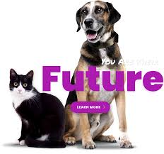 Find portage county, ohio animal shelters, puppy dog and cat shelters, pet adoption centers, dog pounds, and humane societies. Porter County Animal Shelter In Official Website