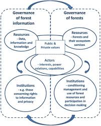 Divisions of timber management, range management. Governance Of Forests And Governance Of Forest Information Interlinkages In The Age Of Open And Digital Data Sciencedirect