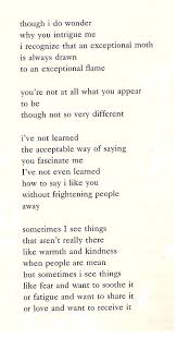I Recognize That An Exceptional Moth Is Always Drawn To An Exceptional Flame Nikki Giovanni Poetry Words Poem Quotes Poetry Quotes
