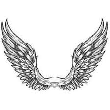 Angel Wings Drawing In 2020 Angel Wings Tattoo Angel Wings Drawing Wings Drawing