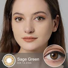 FR/ES Warehouse 3-Day Magister عدسات لاصقة ملونة للعين الطبيعية عدسات لاصقة  ملونة 1 زوج بني كبير عدسات لاصقة للعين الزرقاء