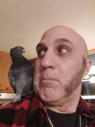 Brown rice superior to white?