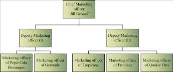 chapter 8a cp solutions essentials of management 9th