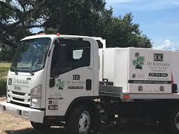 Our associate certified entomologists are. Ed Kaulbars Palm And Tree Pest Management Pest Control Service Facebook 5 Photos