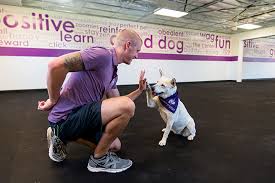 Our pet counselors are here to answer all of your adopt & shop in culver city now. Animal Humane Association Of New Mexico Inc Guidestar Profile
