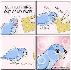 Pleasurable Memes To Help You Fend Off The Ennui Funny Comics Funny Memes Memes