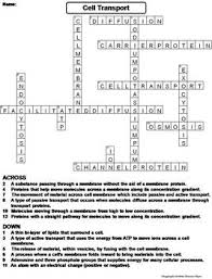 Passive transport is a method of cell transport that requires no energy. Passive And Active Cell Transport Worksheet Crossword Puzzle By Science Spot