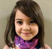 DIRECTORS' SNAPSHOT: A YEAR IN REVIEW