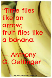 Time Flies Like An Arrow Fruit Flies Like A Banana Time Flies Like An Arrow Fruit Flies Like A Banana Anthony G Oettinger Quotes About Time Fruit Flies