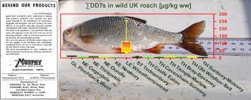 The Long Shadow Of Our Chemical Past High Ddt Concentrations In Fish Near A Former Agrochemicals Factory In England Sciencedirect