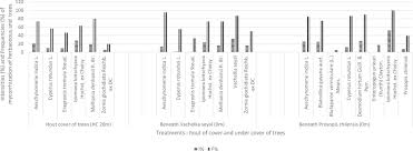 Image result for Blainvillea gayana