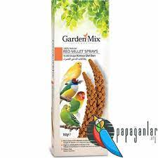 garden mix kus yemi saglikli papaganlar