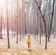 Pantai ini menjadi tempat rasmi pertandingan wau antarabangsa kelantan. 15 Tempat Menarik Di Kelantan Yang Best Untuk Korang Jalan Jalan Tahun Ni Rileklah Com